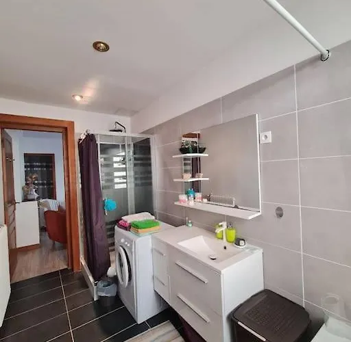 Grand - Avec Terrasse דירה ריימס